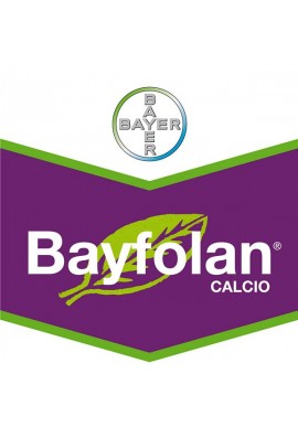 Bayfolan Calcio (5L)