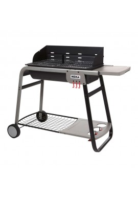 Barbacoa de Carbón con Horno de Piedra