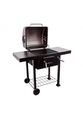 Barbacoa de Carbón con Horno de Piedra