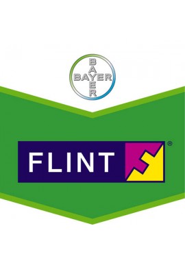 Flint (15 Gr)