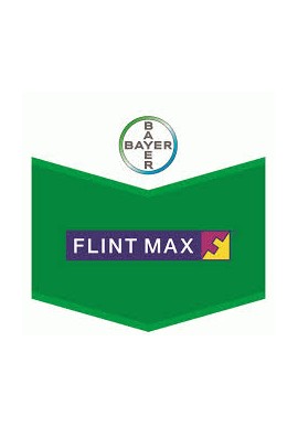 Flint Max