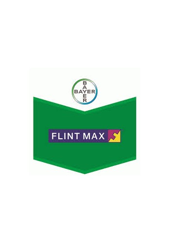 Flint Max